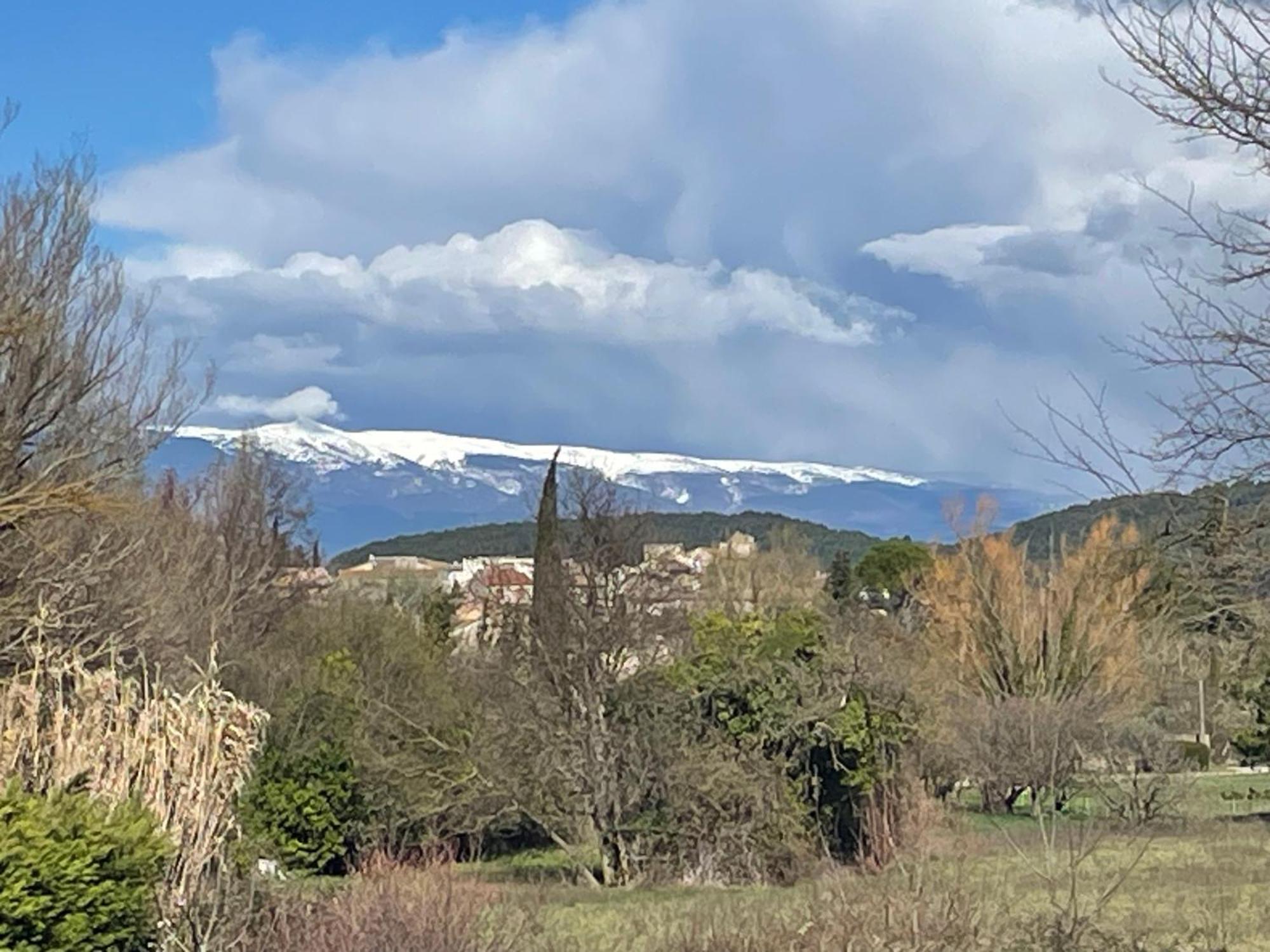 La Petite Rive - Les Oliviers Villa Velleron Exteriör bild