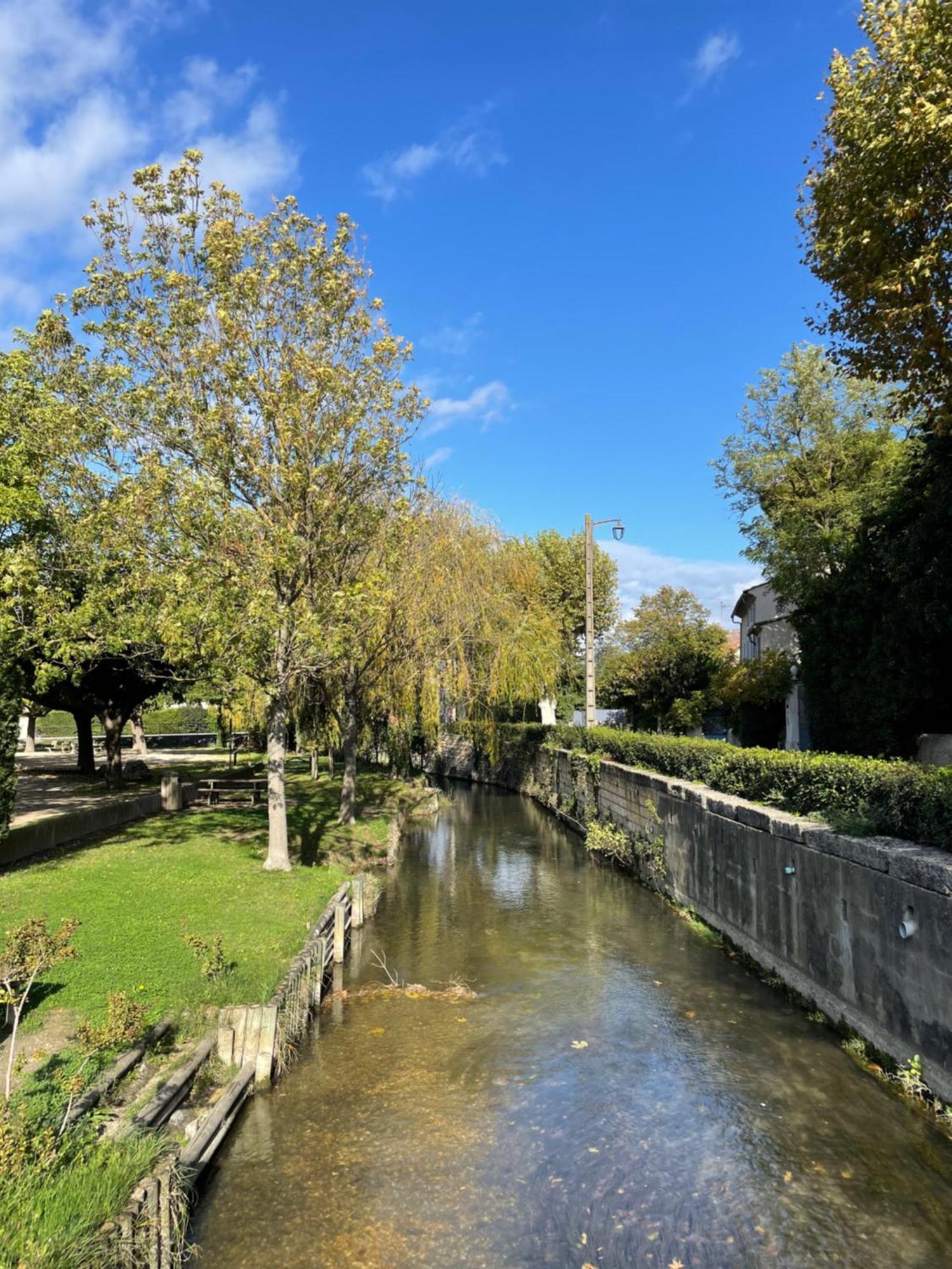 La Petite Rive - Les Oliviers Villa Velleron Exteriör bild